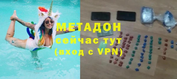 гашик Алексин