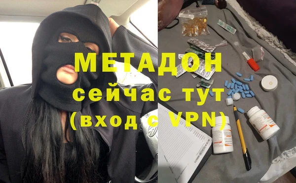 гашик Алексин
