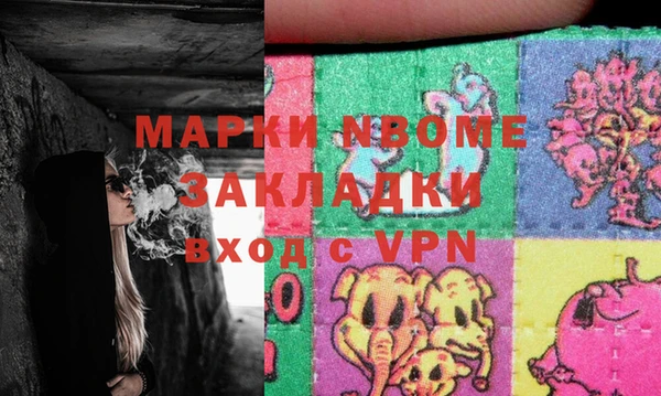 гашик Алексин