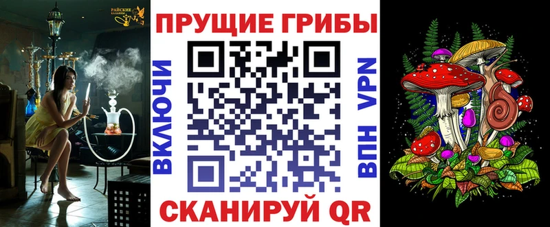 Псилоцибиновые грибы MAGIC MUSHROOMS как найти Мамадыш