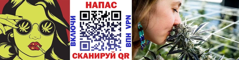 Каннабис ГИДРОПОН  продажа наркотиков  Мамадыш 